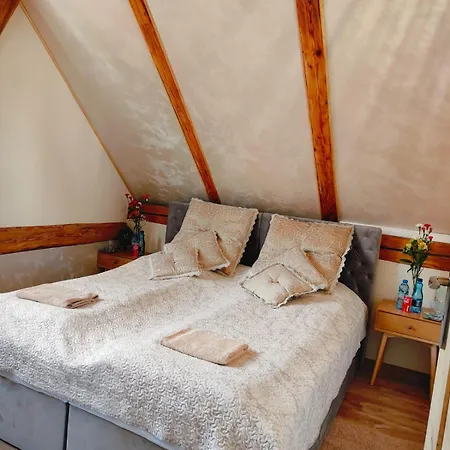 House Near The Castel Ksiaz 503-608-088 Stare Bogaczowice